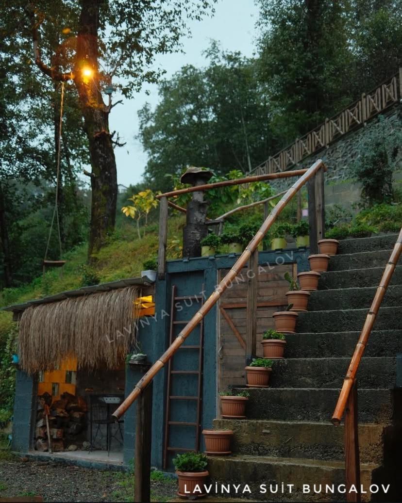 Lavinya Suit Bungalov Rize Exteriör bild